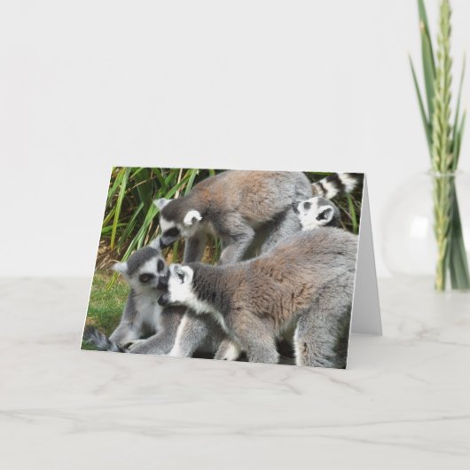 Carte Lemur (Devant)