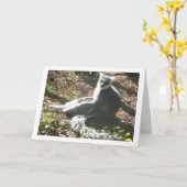 Carte Lémur à queue annelée (Fleur jaune)