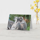 Carte Lémuriens à queue annelée se blottissent (Fleur jaune)