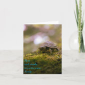 Carte Lent et stable gagne la course - Aesop (Devant)