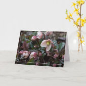 Carte Lenten Rose pour mère (Fleur jaune)
