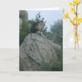 Carte Leo (Fleur jaune)