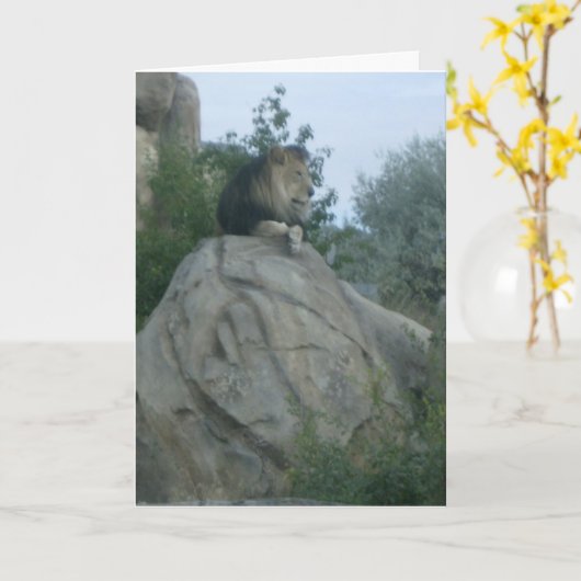 Carte Leo (Fleur jaune)