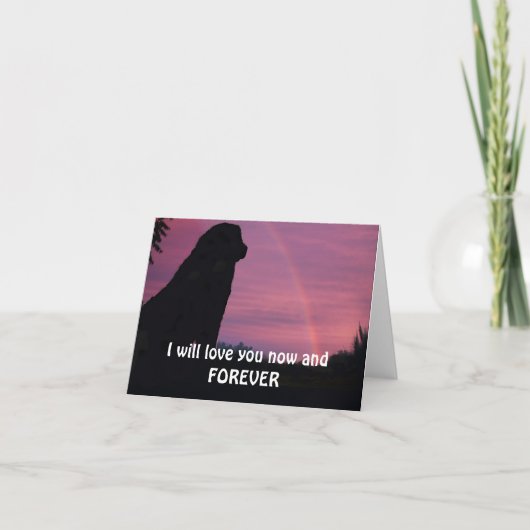 Carte Leonberger attendant au pont en arc-en-ciel (Devant)