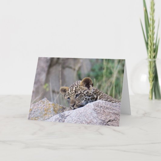 Carte Leopard (Devant)