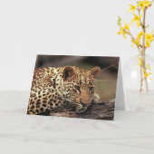 Carte Leopard (Fleur jaune)