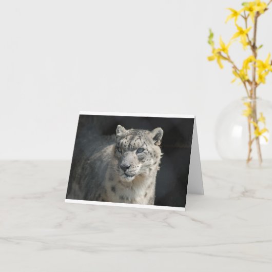 Carte Léopard des neiges (Fleur jaune)