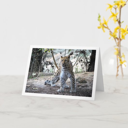 Carte Leopard en forêt (Fleur jaune)