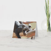 Carte Léopard noir (Devant)