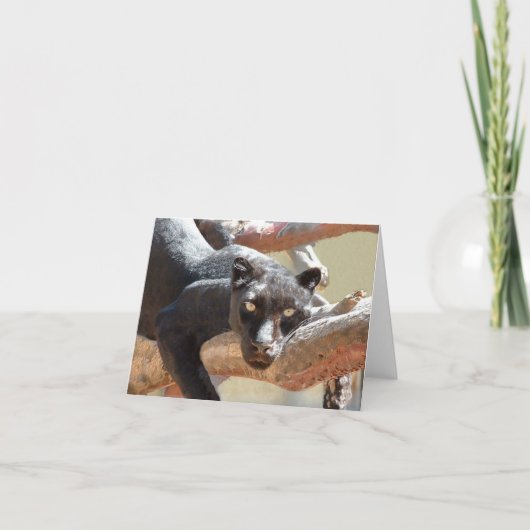 Carte Léopard noir (Devant)