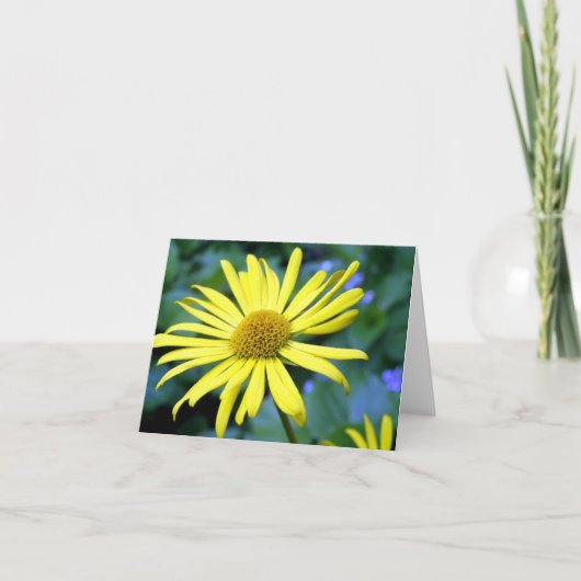 Carte Leopard's Bane Note Card (Devant)