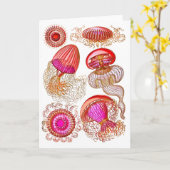 Carte Leptomedusae de méduse en rose vif (Fleur jaune)