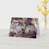 Carte Les amateurs de loups (Fleur jaune)