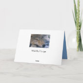 Carte Les amateurs de loups gris (Dos)