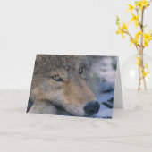 Carte Les amateurs de loups gris (Fleur jaune)