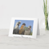 Carte Les amis s'unissent (Dos)