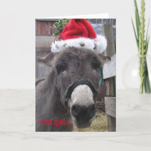 Carte "Les ânes font de superbes Santas !"