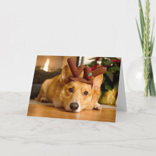 Carte Les animaux bébés les plus mignons Renne de Noël