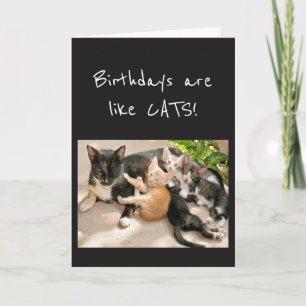 Carte Les anniversaires sont comme Humour Animal de Chat