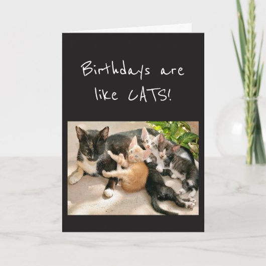 Carte Les anniversaires sont comme le Humour des animaux (Devant)