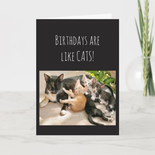 Carte Les anniversaires sont comme l'Humour animal de ch (Devant)