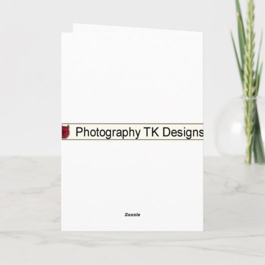 Carte Les arbres d'automne pensant à vous chaufferont (Dos)