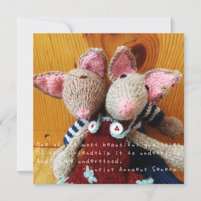 Carte Les aventures Extraordinaires d'Amelia (Devant)