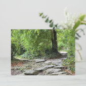 Carte Les bambous (Debout devant)