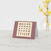 Carte Les barnacles bien-aimés de Darwin (Fleur jaune)