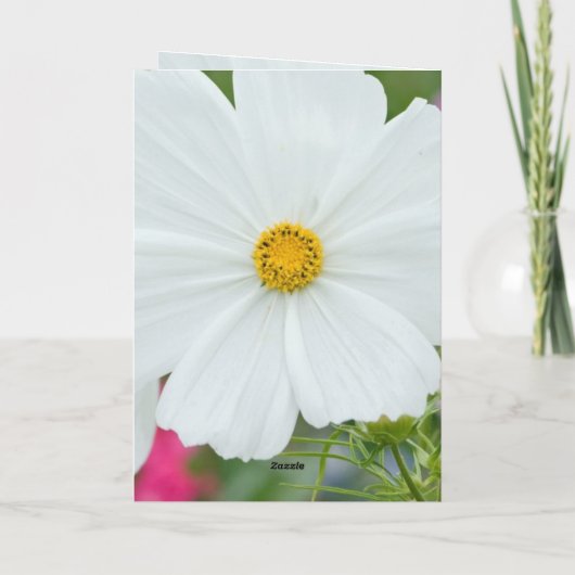 Carte Les Beaux Fleurs (Dos)