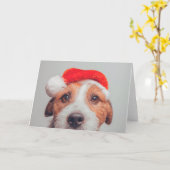 Carte Les bébés animaux les plus mignons | Jack Russell (Fleur jaune)
