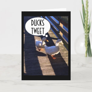 CARTE LES CANARDS TWEETTENT UN JOLI ANNIVERSAIRE À MON J