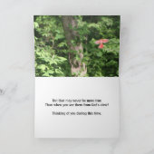 Carte Les cardinaux sont près des anges apparaissent - l (Intérieur)