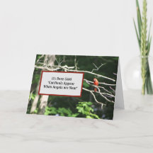 Les cardinaux sont près des anges apparaissent - l