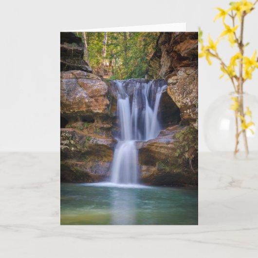 Carte Les cascades | Cedar Falls, Ohio (Fleur jaune)