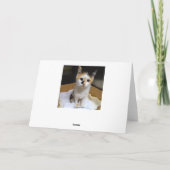 Carte Les chatons dans une boîte Mère Joyeux anniversair (Dos)