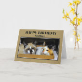 Carte Les chatons dans une boîte Mère Joyeux anniversair (Fleur jaune)