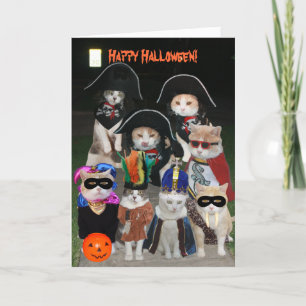 Carte Les chats amusants se faufilent à Halloween
