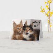 CARTE LES CHATS DE MAINE COON DISENT **50?** VOUS ? ANNI (Fleur jaune)