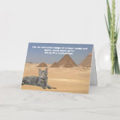 Carte Les chats règnent ! (Dos)