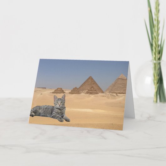 Carte Les chats règnent ! (Devant)