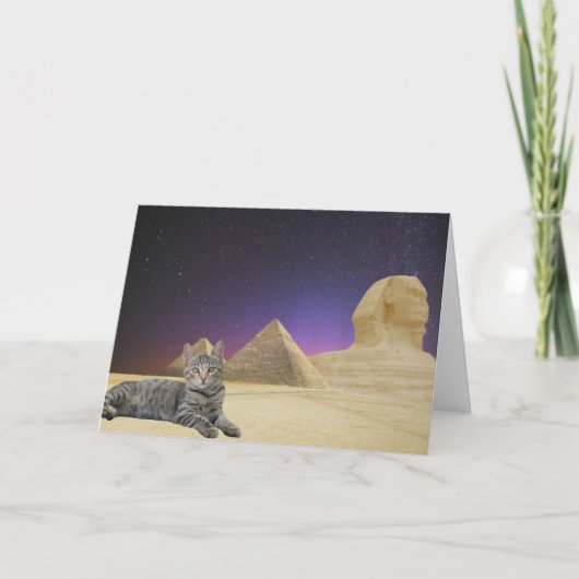 Carte Les chats règnent ! (Devant)
