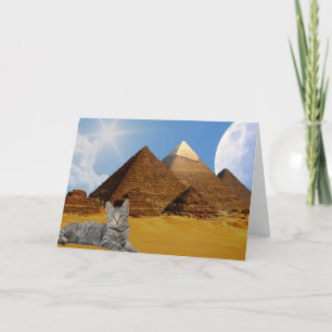 Carte Les chats règnent !