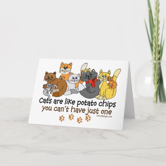 Carte Les chats sont comme des chips (Devant)