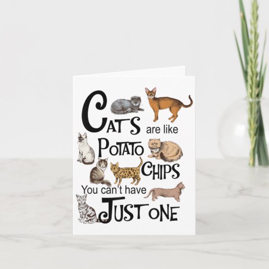 Carte Les chats sont comme des chips de tomates qu'on ne (Devant)