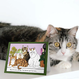 Carte Les chats sont en charge