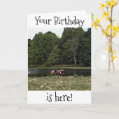 CARTE LES CHEVAUX À LA PASTURE SONT BONS POUR VOTRE ANNI (Fleur jaune)