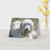 Carte Les chiens bienveillants aident à soulager la (Fleur jaune)