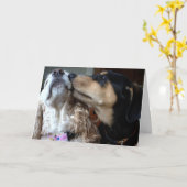 CARTE LES CHIENS DISENT VRAI AMOUR-TOUT CE DONT VOUS AVE (Fleur jaune)