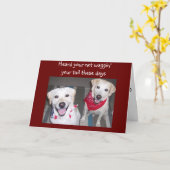 CARTE LES CHIENS ENCOURAGENT LE BIEN (Fleur jaune)